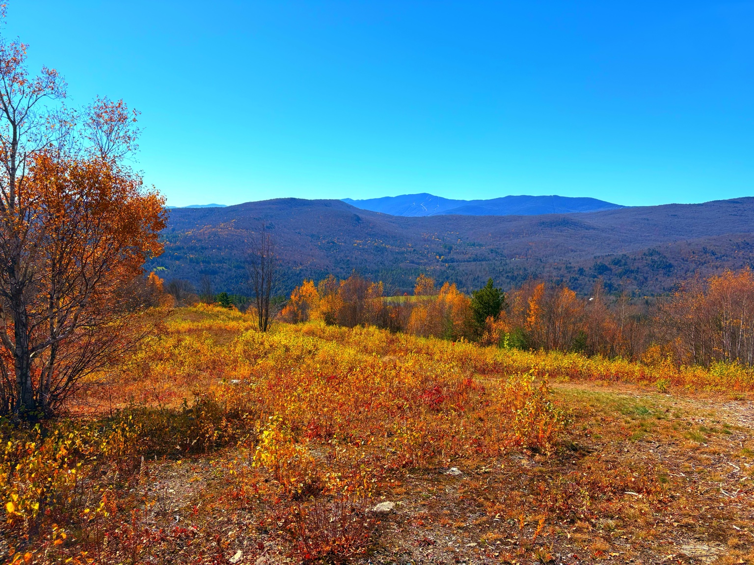 Mountain panorama at Boyce Hill