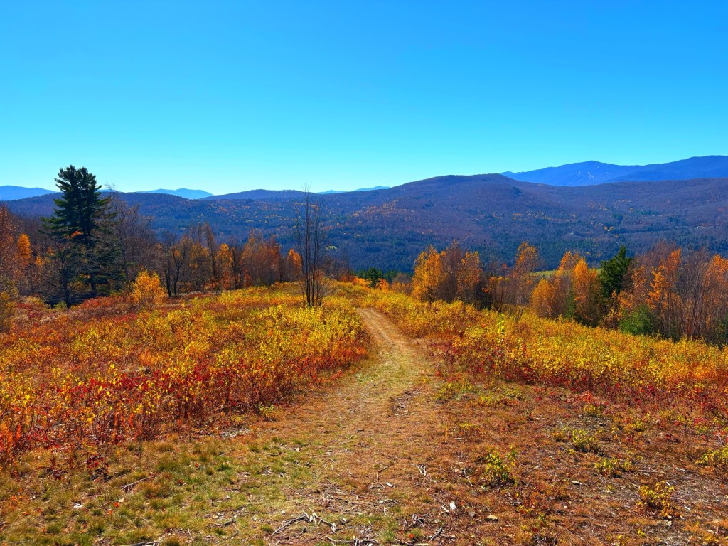 Autumn hillside path overlooking forested mountains at Boyce Hill Town Forest