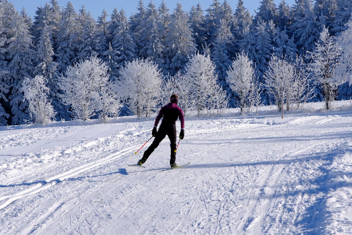Cross-country skier traveling through a snowy winter landscape