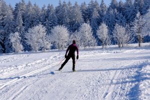 Cross-country skier traveling through a snowy winter landscape